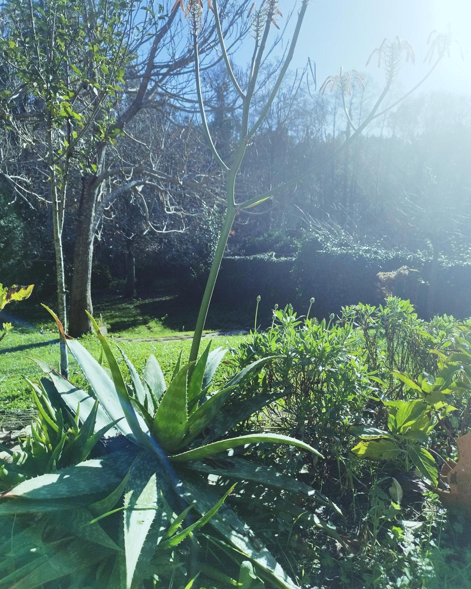 ברסלוס Casa Campo Ao Rio_Village מראה חיצוני תמונה