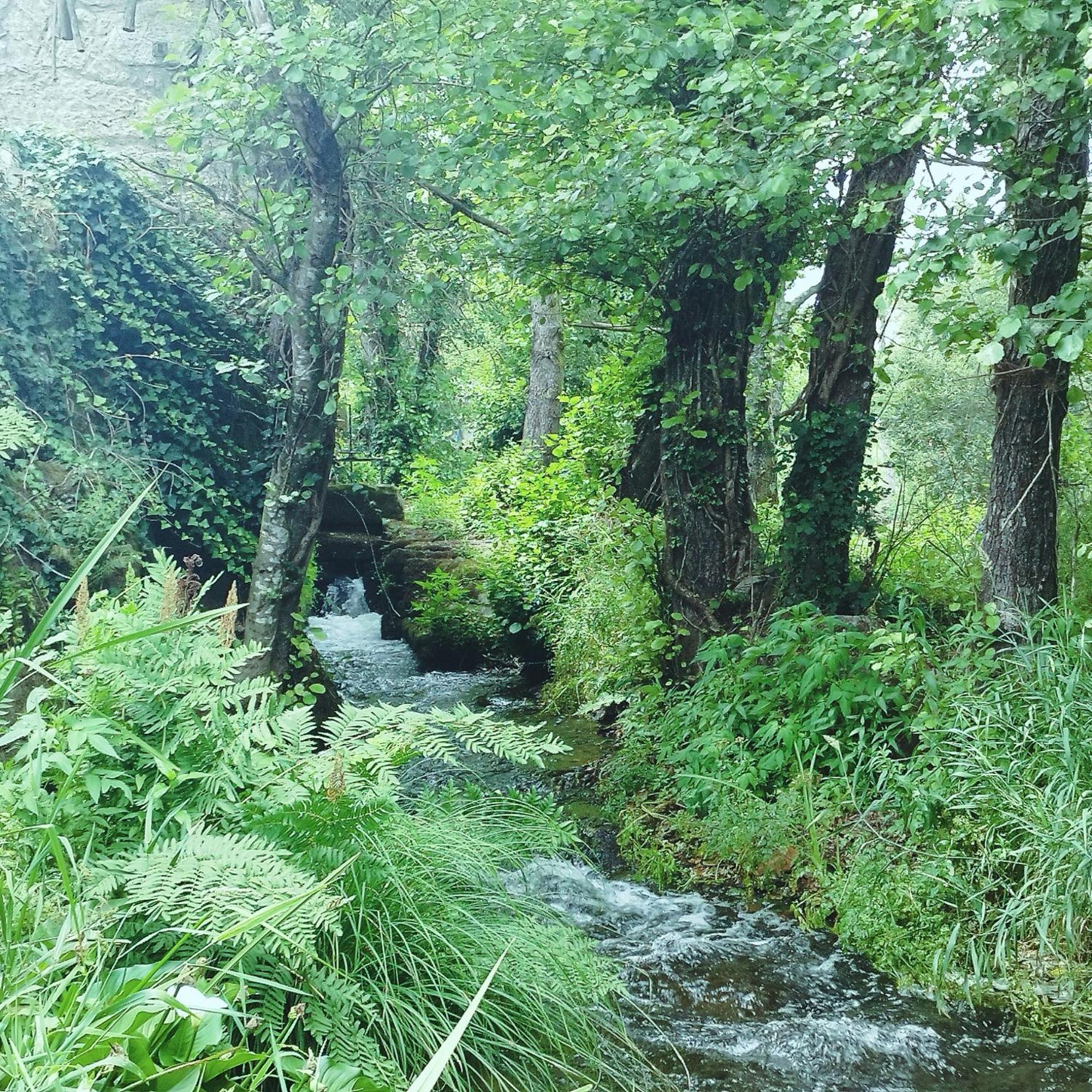 ברסלוס Casa Campo Ao Rio_Village מראה חיצוני תמונה